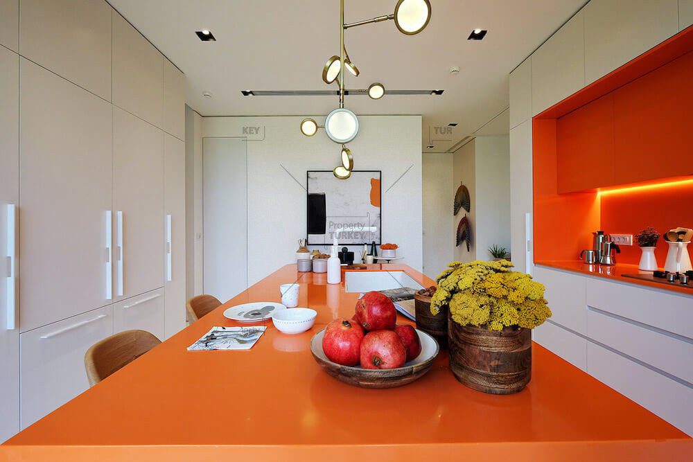 فروش ویلا در استانبول بیکوز